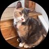 missdoriskitty